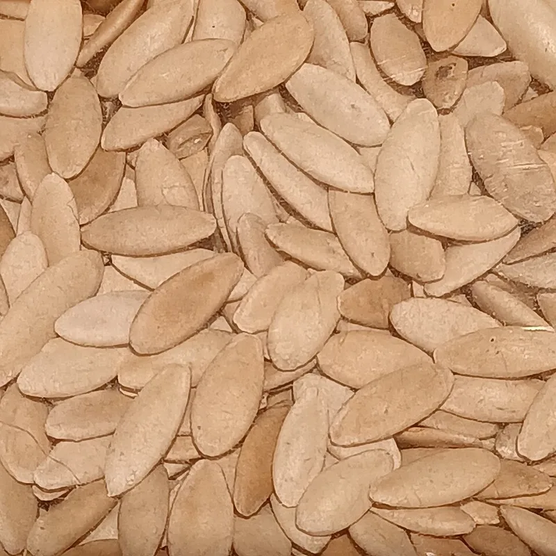 Concombre – photo 2