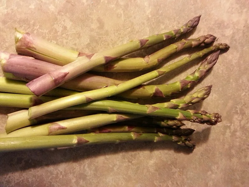 Asperge – photo 4