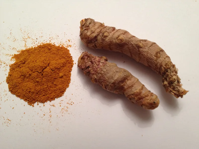 Curcuma (curcuma longa) – photo 5
